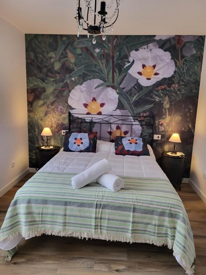 La Pedrosa Casa Rural Camarzana de Tera ภายนอก รูปภาพ